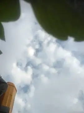 aga-wa online show from 05/14/26, 11:22