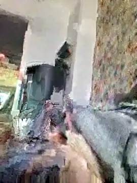 bellequeue147 online show from 04/21/26, 10:54