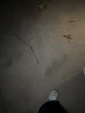   I like    online show from 04/30/26, 02:45