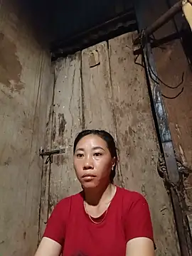 Jinli 01 online show from 05/26/26, 09:33