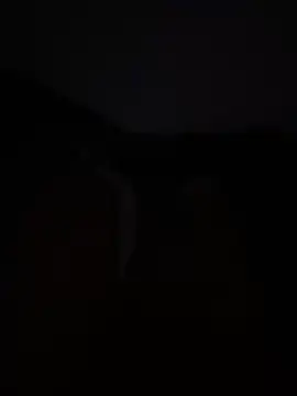 D0LLF4CE online show from 05/03/26, 09:37