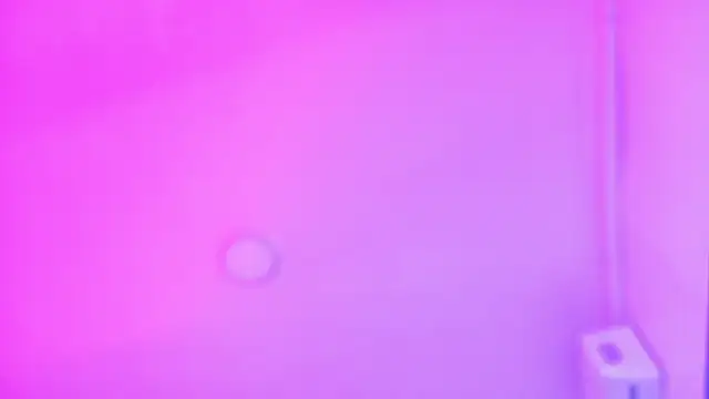 LexaDominant   online show from 07/16/26, 09:48