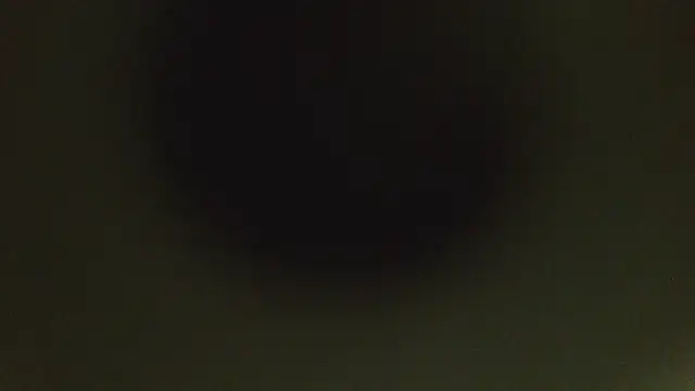 Snapshot of herpuppypeter chatting on 05/15/26, 01:45 herpuppypeter online show from 05/15/26, 01:45