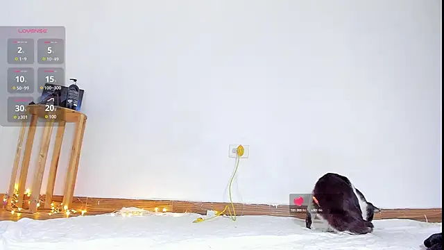 abilX online show from 01/24/25, 01:57