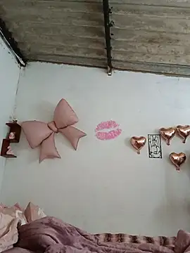 mileidy0106 online show from 07/04/26, 01:39