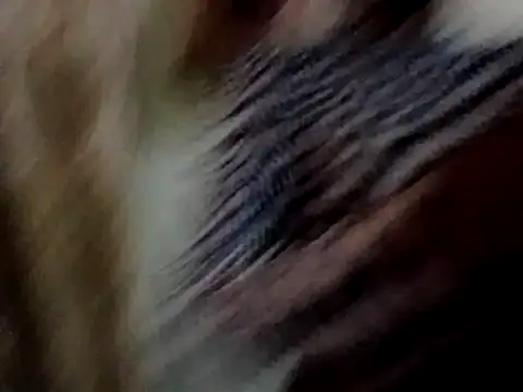 Maridadie online show from 06/24/26, 11:53