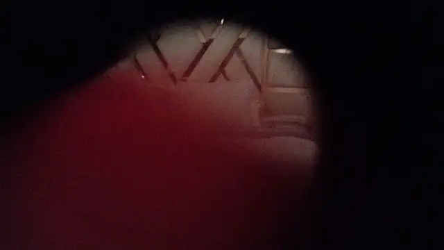 Snapshot of kellygrace_vg chatting on 06/28/26, 03:01 kellygrace vg online show from 06/28/26, 03:01