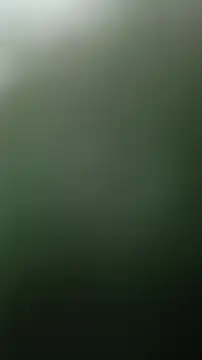 Kijenblack online show from 06/28/26, 12:27