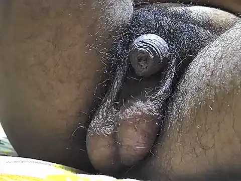 Snapshot of indiboy009 chatting on 09/17/25, 06:31 indiboy009 online show from 09/17/25, 06:31