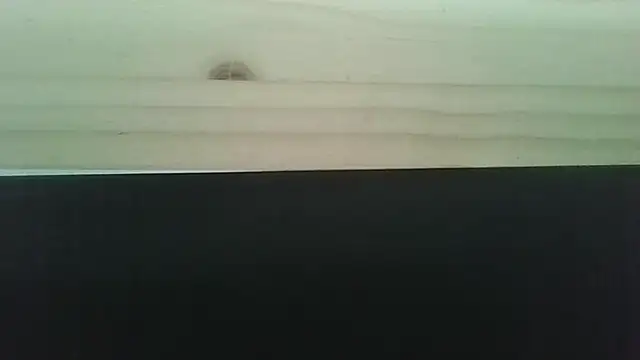 Hendrikje online show from 06/02/26, 04:42