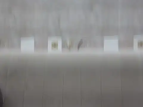 hey darling  online show from 06/12/26, 01:10