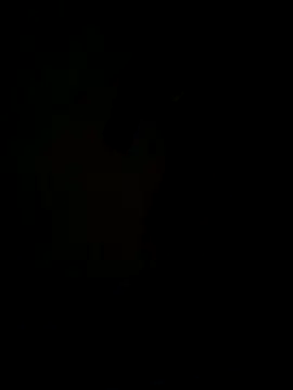 hook9sex online show from 06/11/26, 04:54