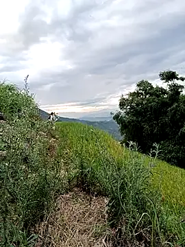 Sky-beo online show from 06/23/26, 10:46