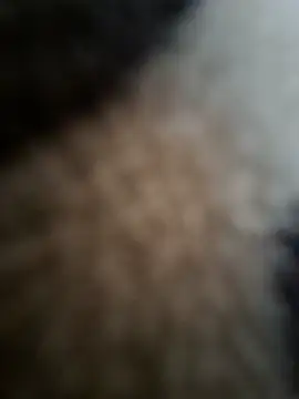 Snapshot of Prashant_4406 chatting on 07/27/26, 07:37 Prashant 4406 online show from 07/27/26, 07:37