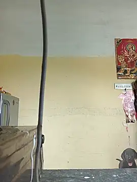 jyothi telugu online show from 07/26/26, 07:26