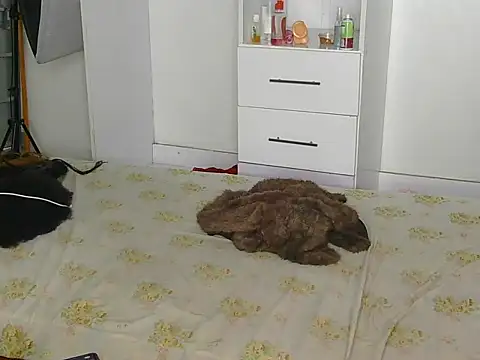Snapshot of SexyLi_ chatting on 07/30/26, 02:21 SexyLi online show from 07/30/26, 02:21
