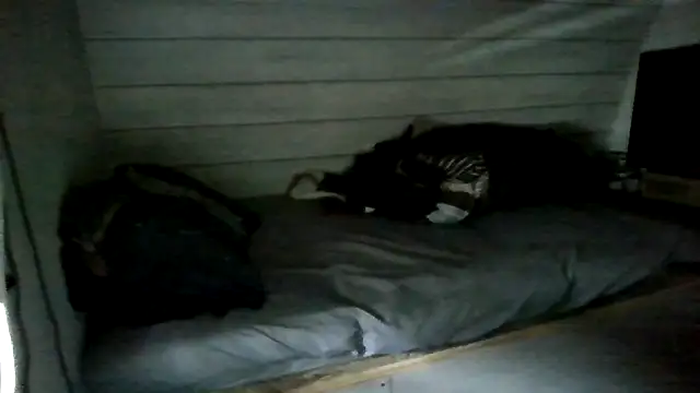 ThisGuy42o online show from 07/05/26, 04:25
