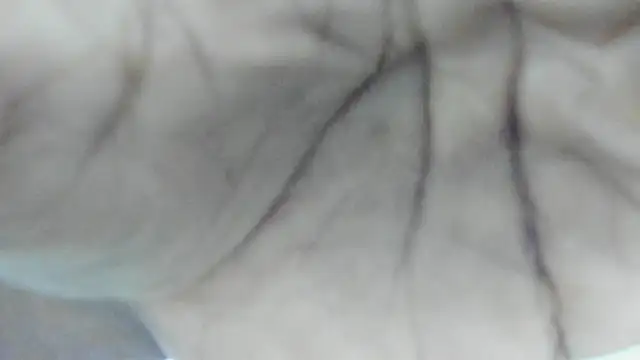 Snapshot of Philip_Cuellar chatting on 07/23/26, 12:36 Philip Cuellar online show from 07/23/26, 12:36