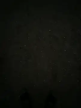 stay8curious online show from 07/16/26, 12:49