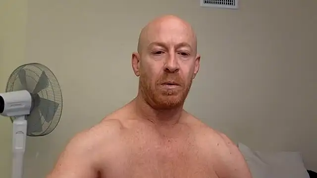 brotein369 online show from 02/17/26, 08:37