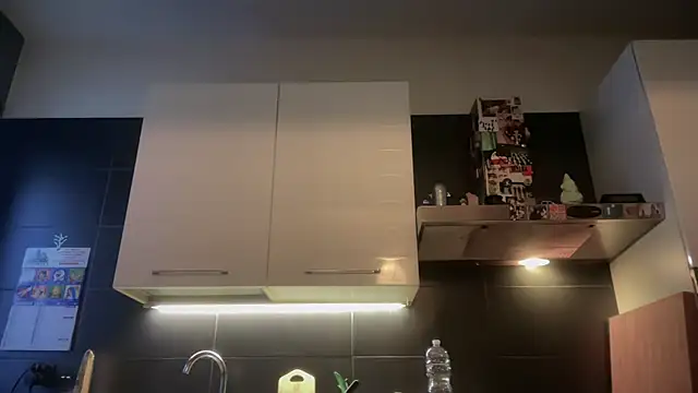 theitalianbear online show from 01/07/26, 02:52