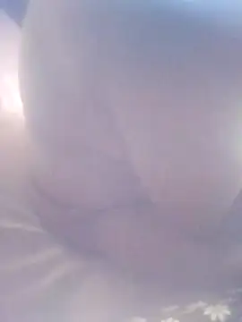 7629887628 online show from 08/09/26, 05:23