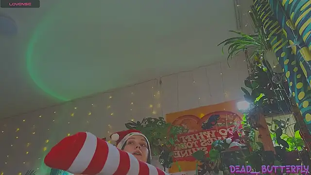 Dead Butterfly online show from 12/27/24, 04:15