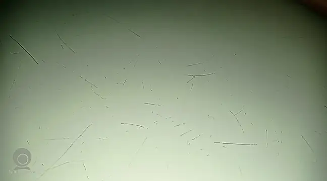 Snapshot of Just_for_trans chatting on 02/21/25, 03:10 Just for trans online show from 02/21/25, 03:10