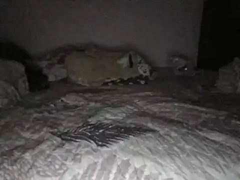 bscc online show from 01/31/25, 12:07