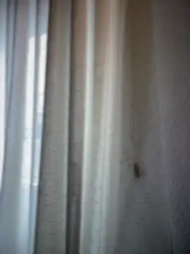 Chic desire online show from 03/20/26, 10:09