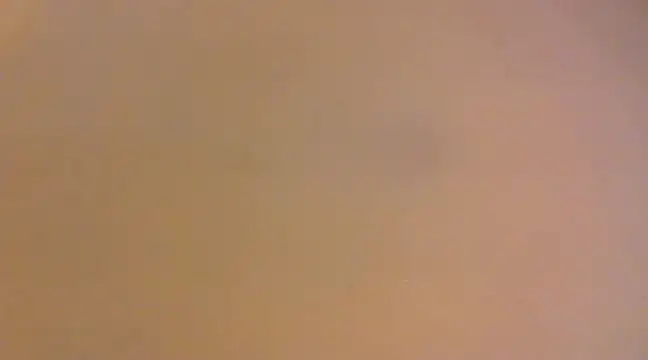 lilpervt online show from 12/21/24, 11:55