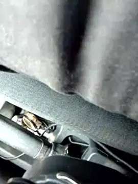 LifeLineSL online show from 03/04/26, 06:30