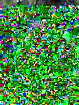 sissyvee online show from 01/15/26, 05:01