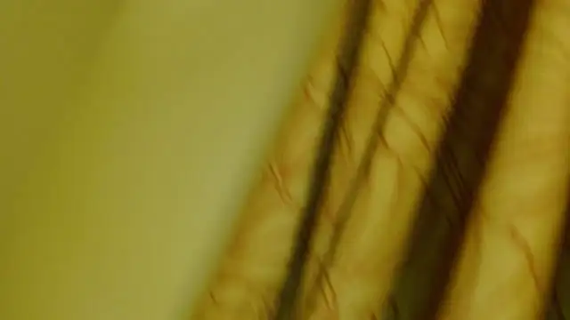 digbicku online show from 10/12/25, 05:17