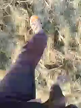 Snapshot of ThethunderPo chatting on 12/19/24, 03:07 ThethunderPo online show from 12/19/24, 03:07