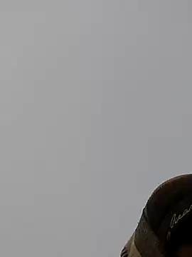 Snapshot of ThethunderPo chatting on 12/27/24, 01:43 ThethunderPo online show from 12/27/24, 01:43