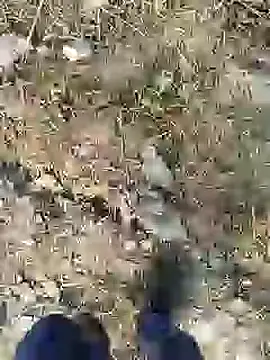 Snapshot of ThethunderPo chatting on 12/28/24, 02:43 ThethunderPo online show from 12/28/24, 02:43