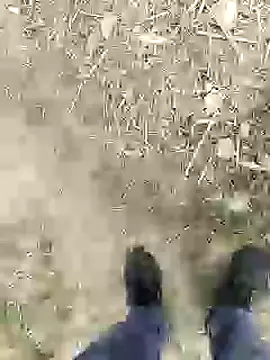 Snapshot of ThethunderPo chatting on 01/04/25, 02:46 ThethunderPo online show from 01/04/25, 02:46