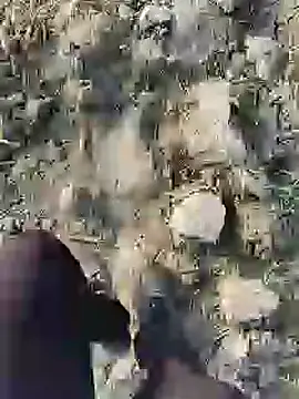 Snapshot of ThethunderPo chatting on 01/19/25, 02:36 ThethunderPo online show from 01/19/25, 02:36