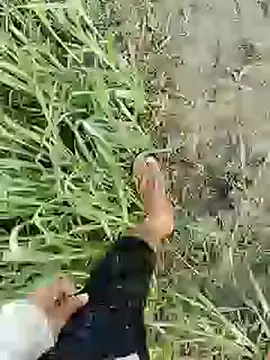 Snapshot of ThethunderPo chatting on 02/19/25, 01:51 ThethunderPo online show from 02/19/25, 01:51