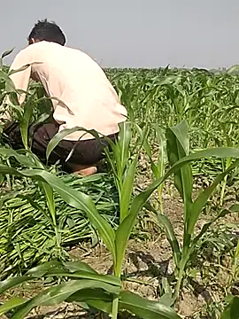 Snapshot of ThethunderPo chatting on 03/03/25, 04:25 ThethunderPo online show from 03/03/25, 04:25