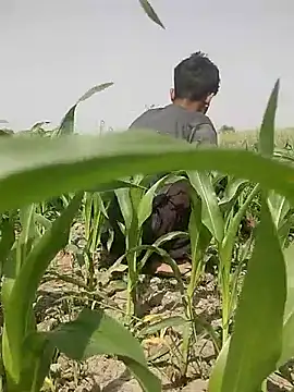 Snapshot of ThethunderPo chatting on 03/05/25, 08:10 ThethunderPo online show from 03/05/25, 08:10