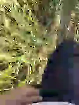 Snapshot of ThethunderPo chatting on 03/18/25, 02:36 ThethunderPo online show from 03/18/25, 02:36