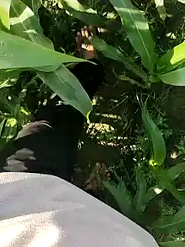 Snapshot of ThethunderPo chatting on 03/19/25, 02:48 ThethunderPo online show from 03/19/25, 02:48