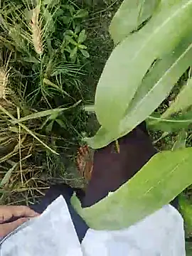 Snapshot of ThethunderPo chatting on 03/21/25, 02:50 ThethunderPo online show from 03/21/25, 02:50