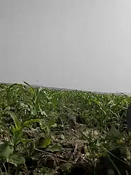 ThethunderPo online show from 02/05/26, 05:45