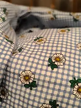 geilerboy2628 online show from 03/13/26, 02:07