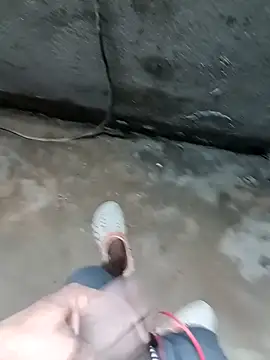 Bengali BULL1 online show from 11/14/25, 04:49