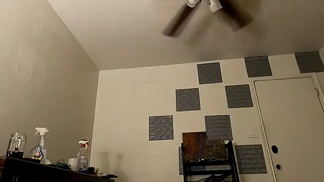 TheDaisyChaos online show from 03/14/25, 01:27