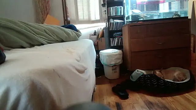 jumpingtomflash online show from 04/16/26, 02:01